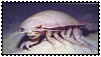 Giant Isopod Stamp